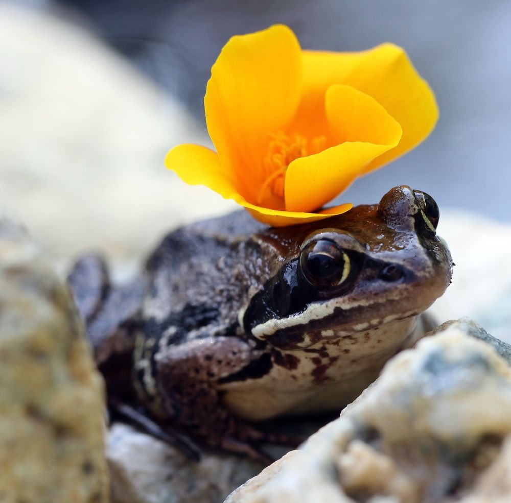 Photograph by Любовь Саханова