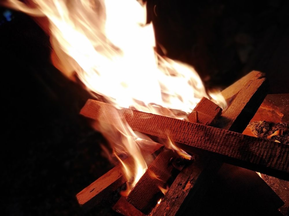 Photo #5871286