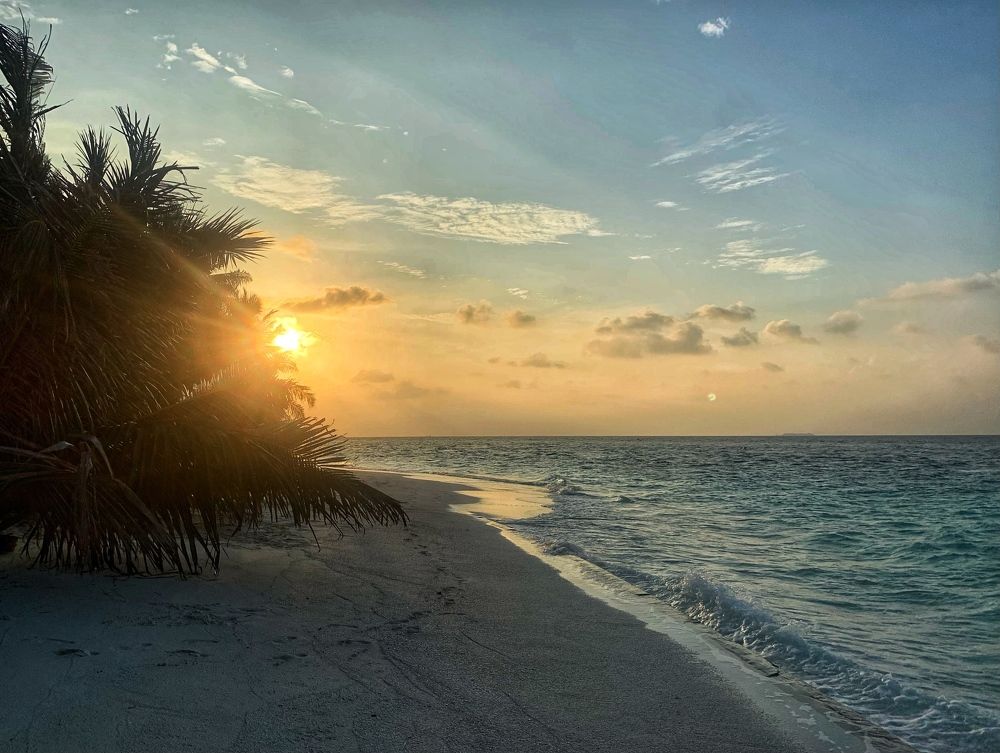 Photograph by Oxana Rovitskaya