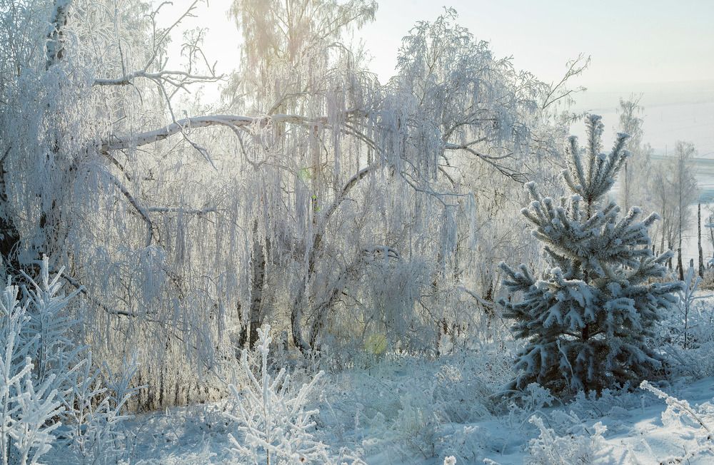 Фотография автора Рамиль Фаттахов