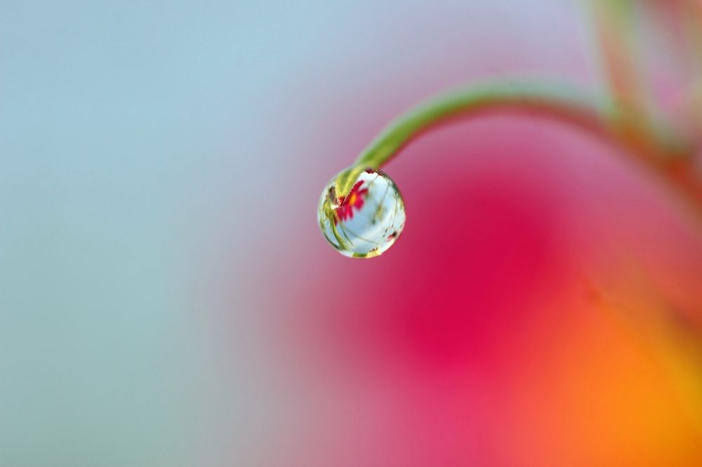 Photograph by Любовь Саханова