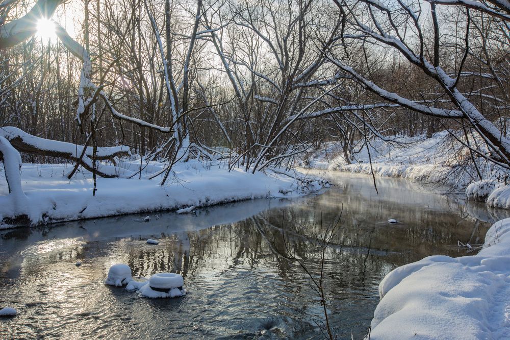 Photograph by Максим Никитин
