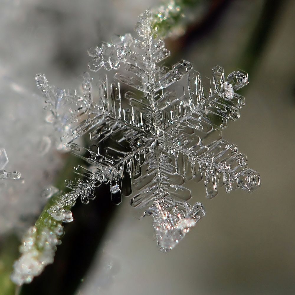 Photograph by Любовь Саханова