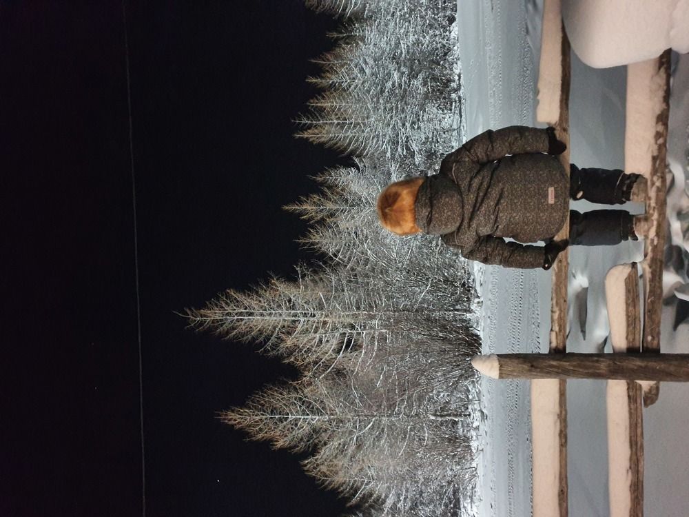 Photograph by Альбина Алексеева - Бугименова