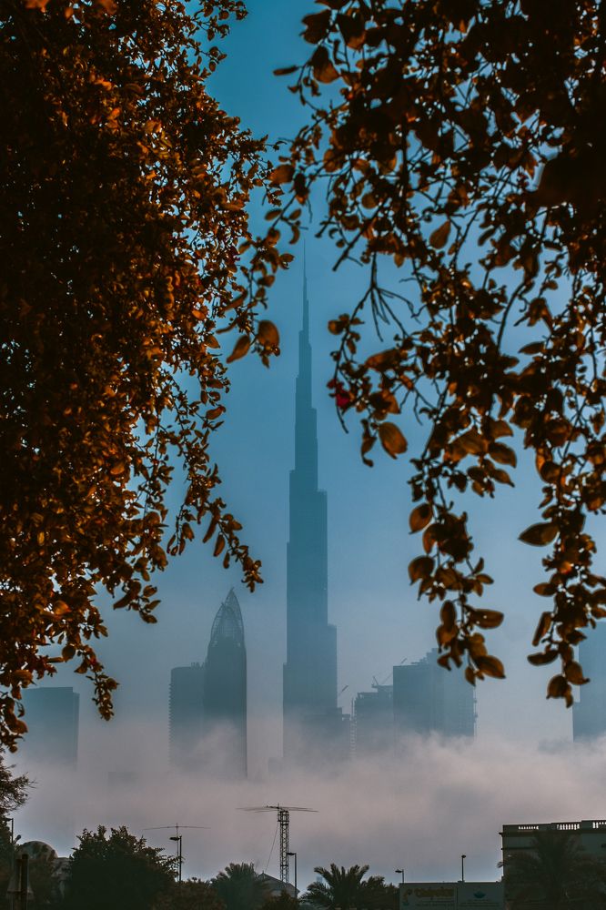 Higher than Wiz Khalifa