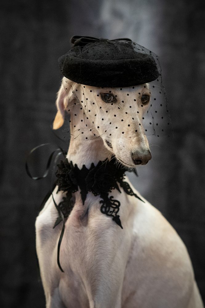 Photograph by Ольга Евграфова