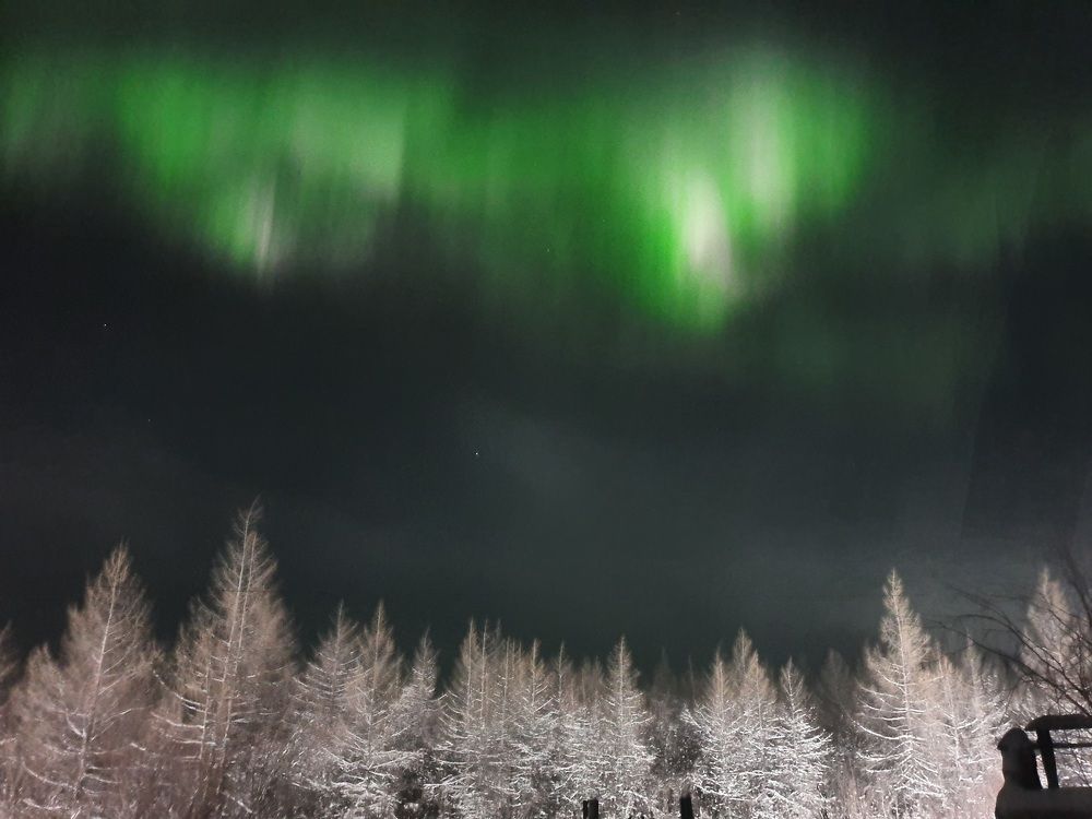 Photograph by Альбина Алексеева - Бугименова