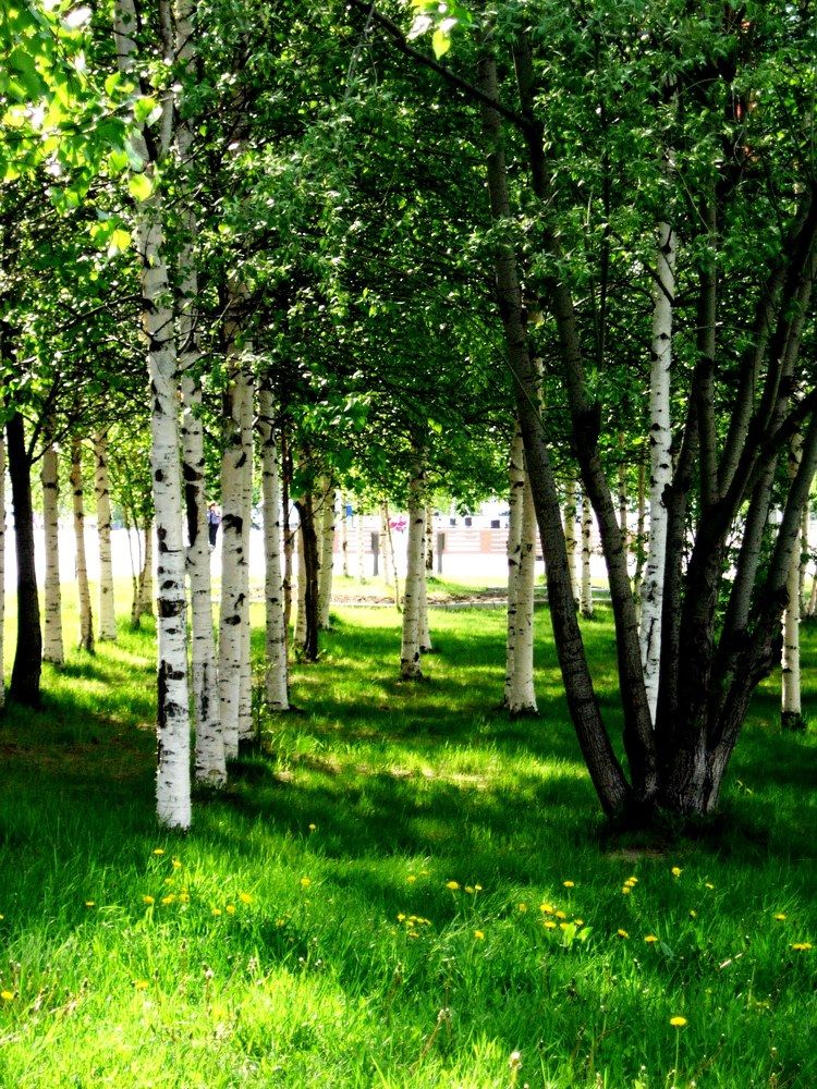 Photograph by Людмила Скочилова