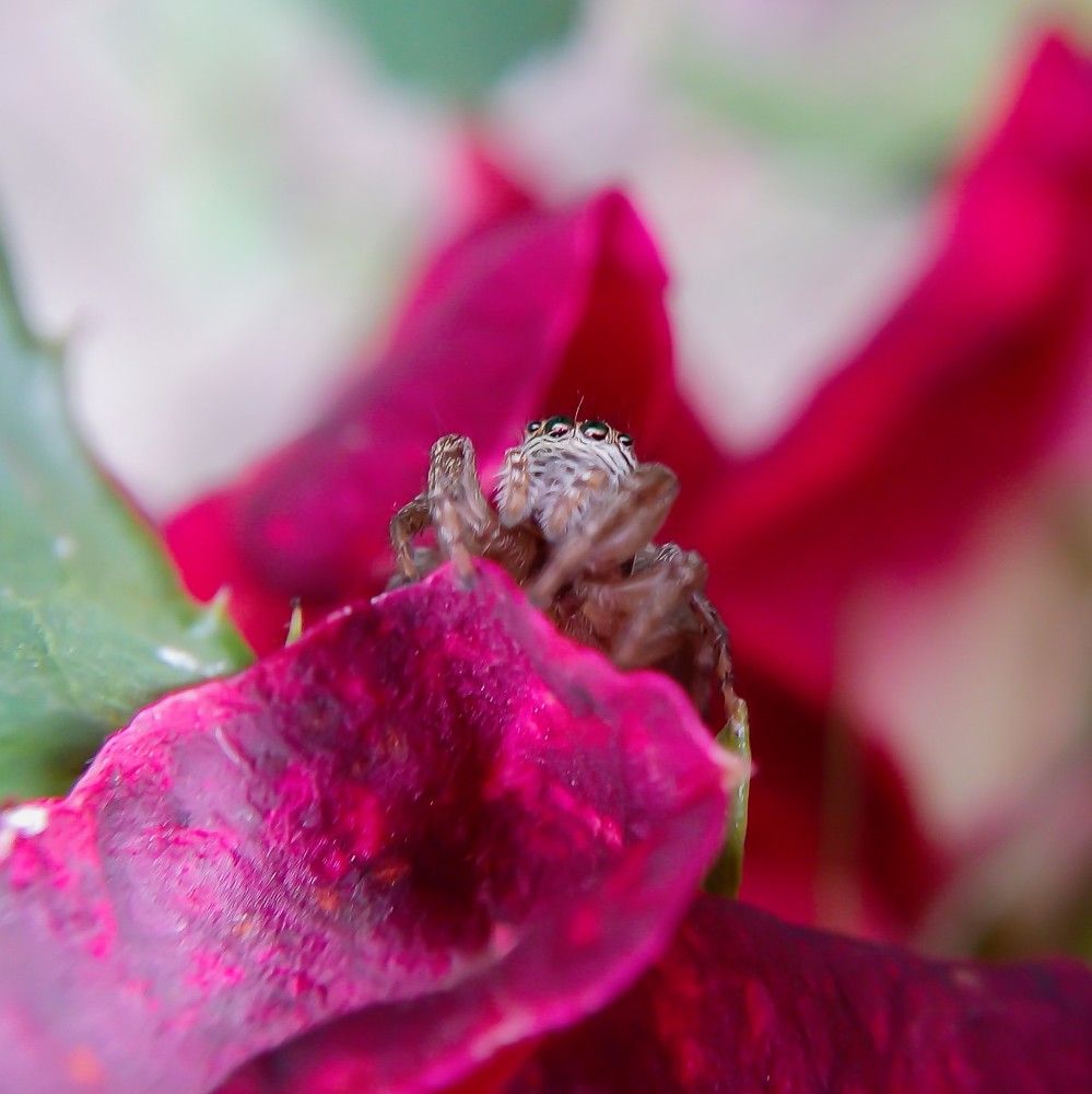 Photograph by Диана Кошелева