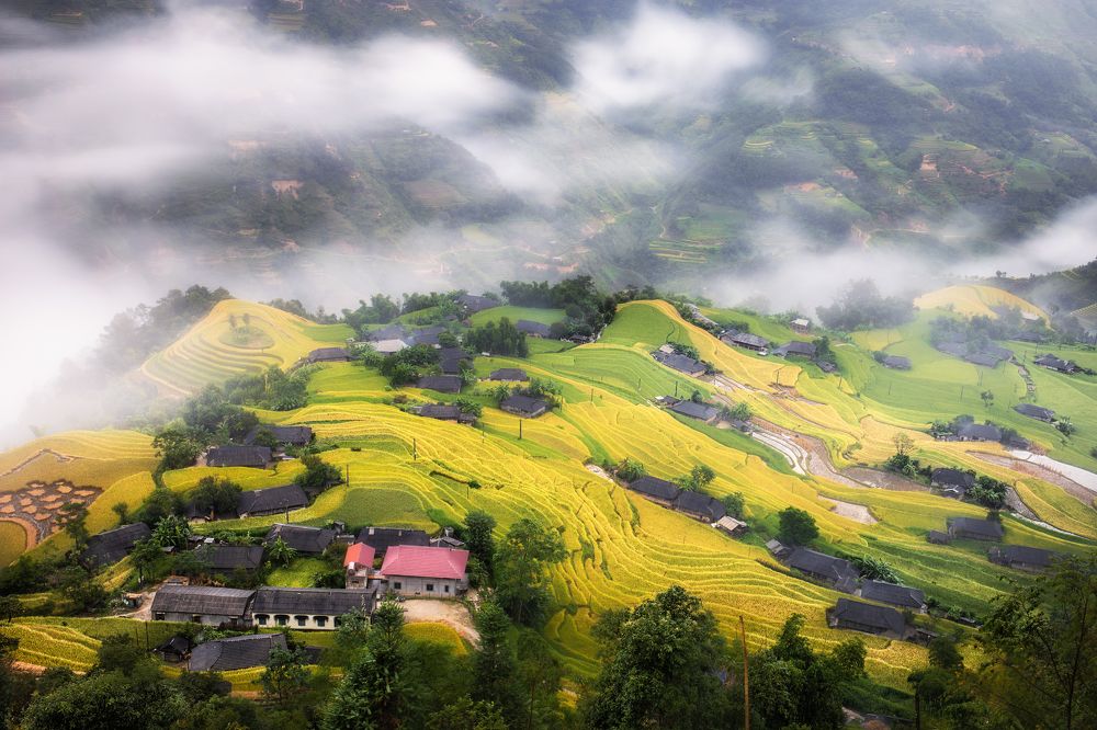 Photograph by Hoàn Nguyễn