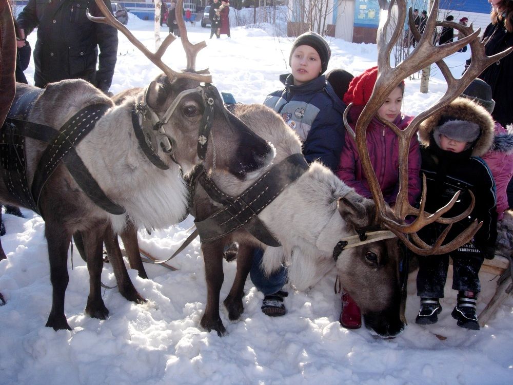 Photograph by Людмила Скочилова