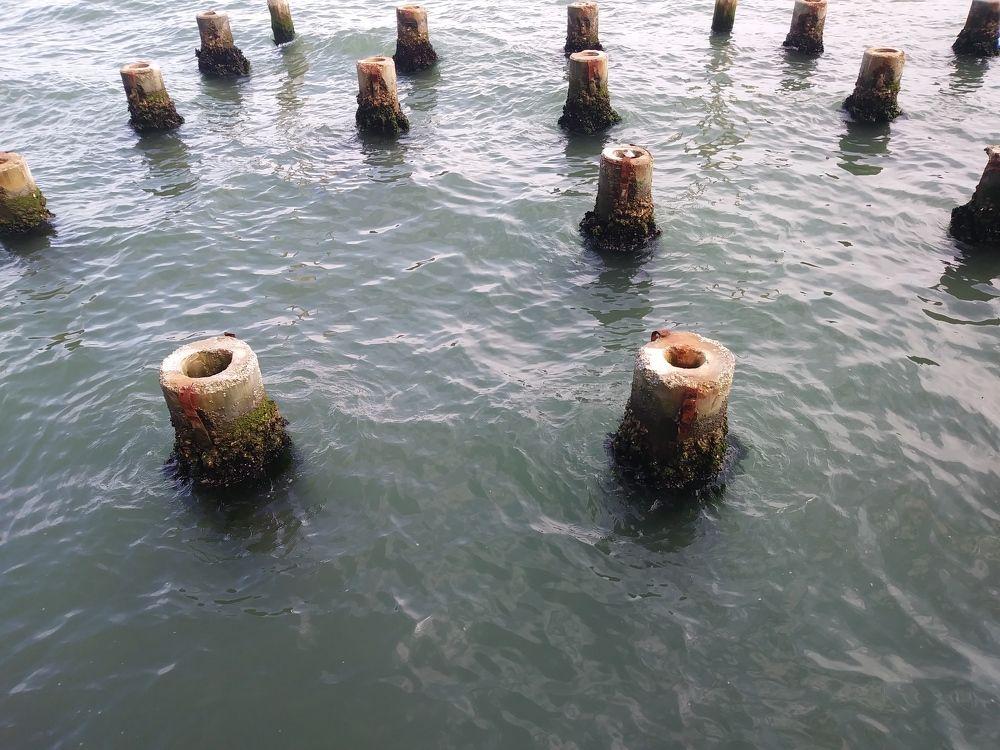 Photograph by Branko Jovanovic