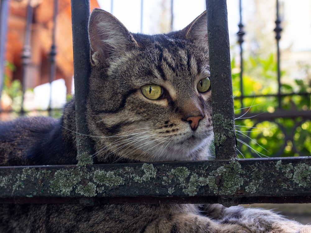 Photograph by Александр