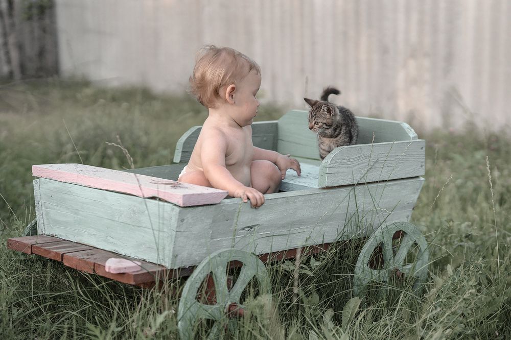 Малыш Марк и Котик. Дачные зарисовки