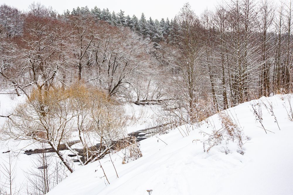 Photograph by Максим Никитин