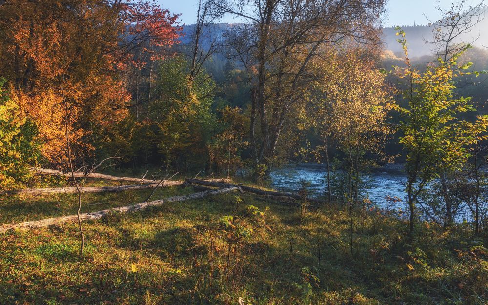 Встречая утро у реки...