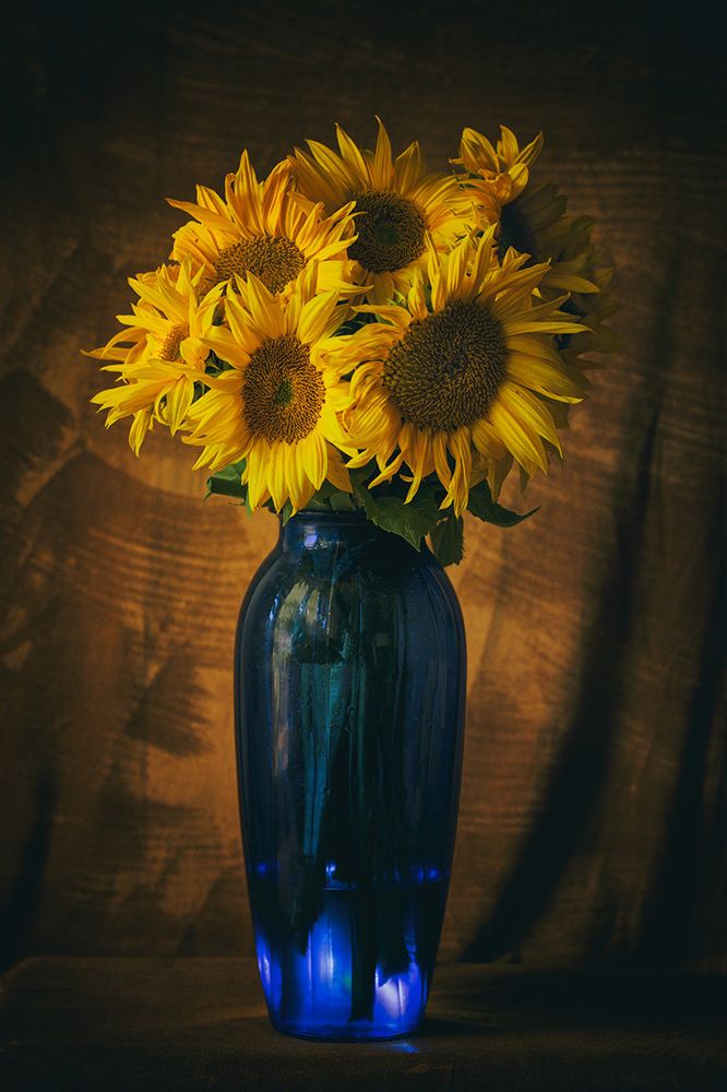 Photograph by Petya Radkova