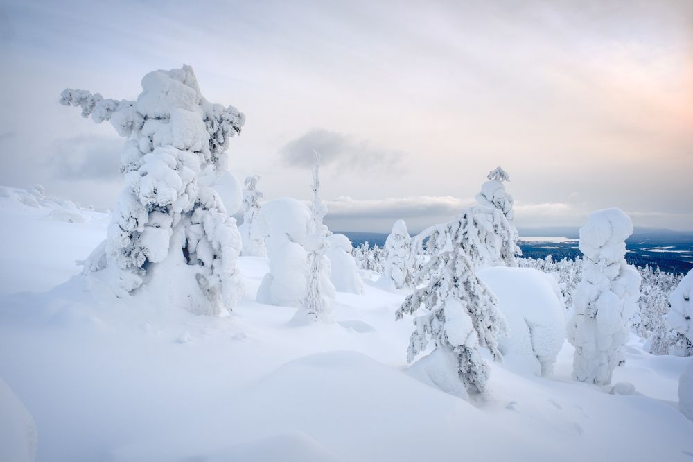 Photograph by Константин Леонтьев