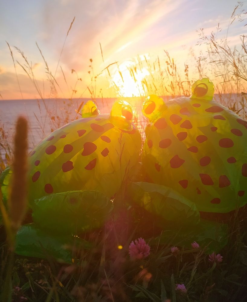 Photograph by Альбина