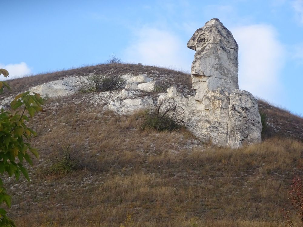 Шахматный конь