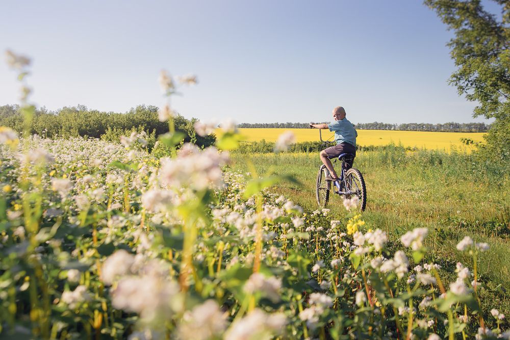 Деревенское лето