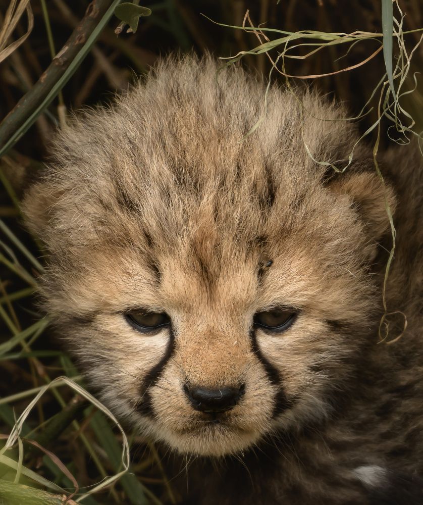 Photograph by Vignesh Ramachandran