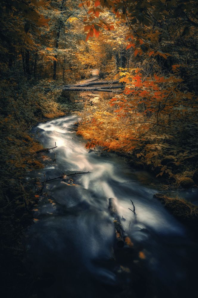 Осенняя сказка