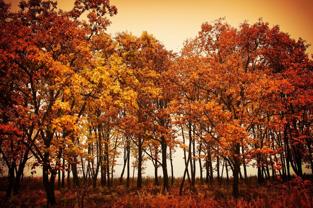 Осень в Приморье