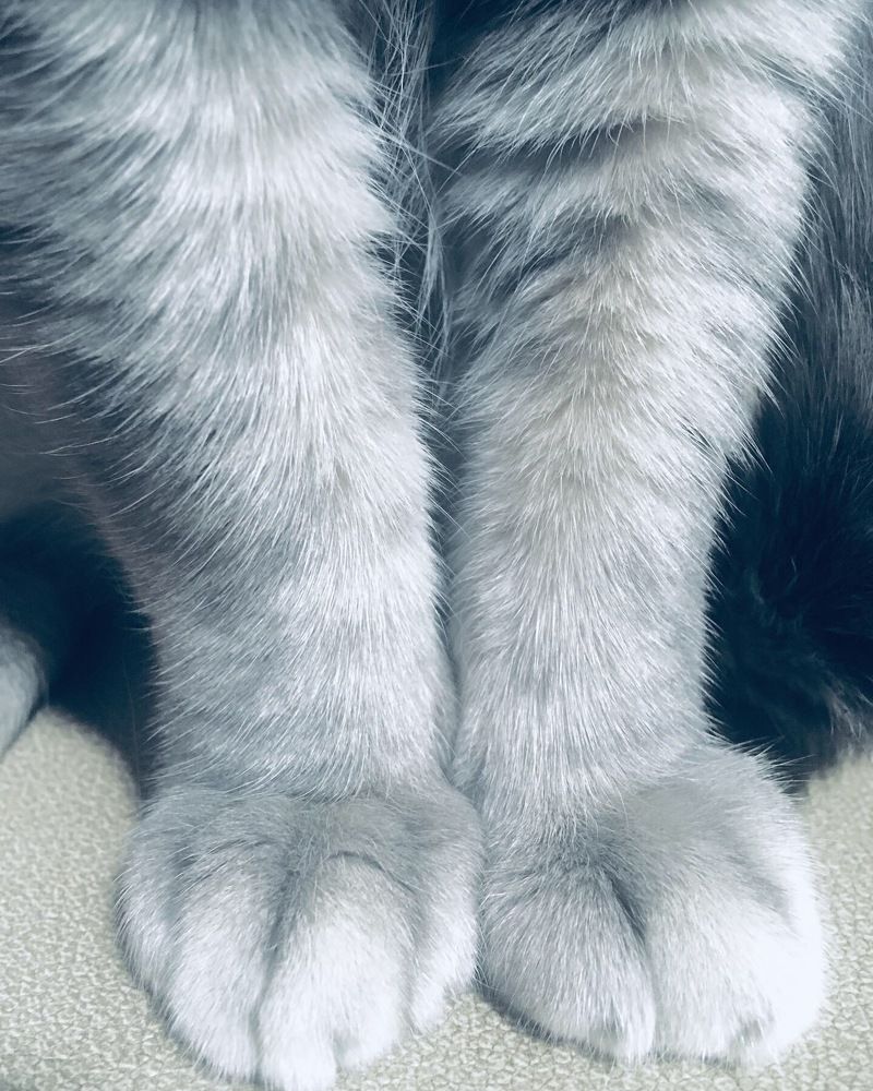 Photograph by Евгения Ципрук