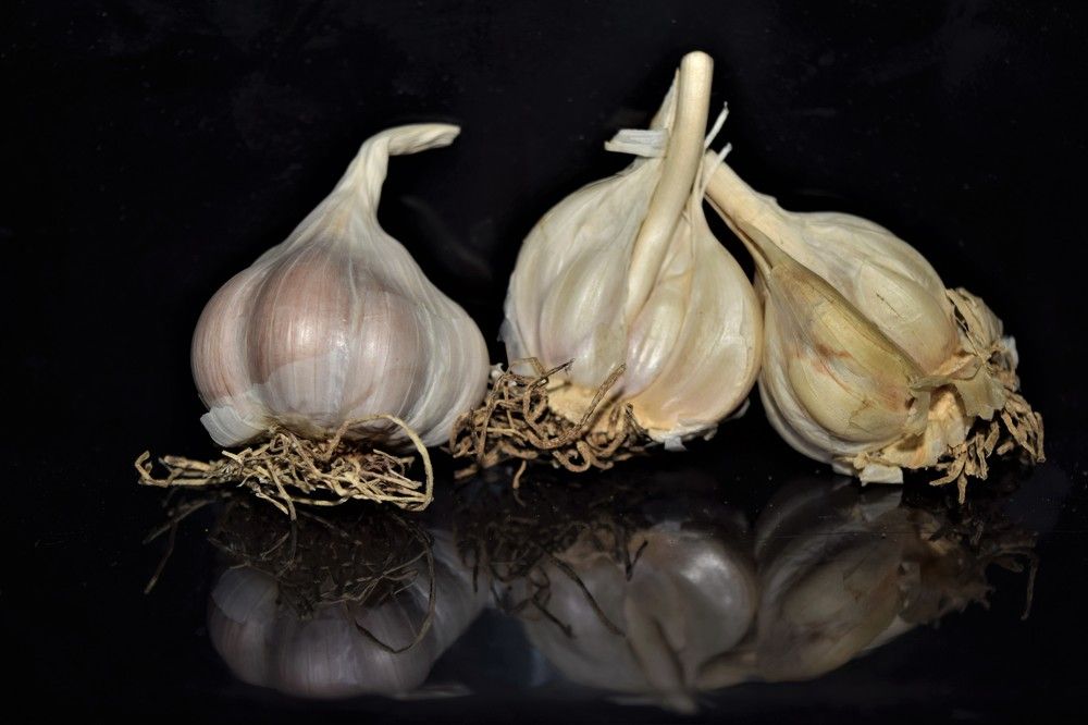 Photograph by Rajeev Sinha