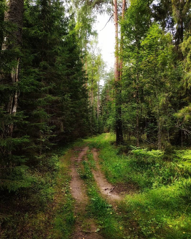 Фотография автора Александр Османов