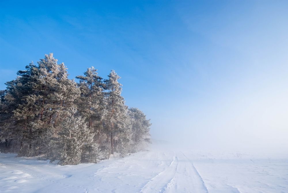 Фотография автора Александр Буренко