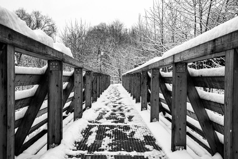 Photograph by Максим Никитин