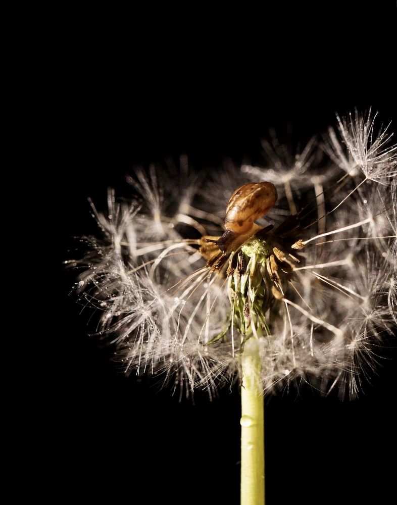 Photograph by Ксения Максименко