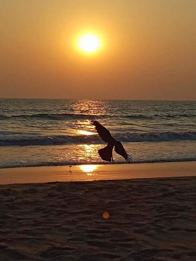 Photograph by Mini Ap