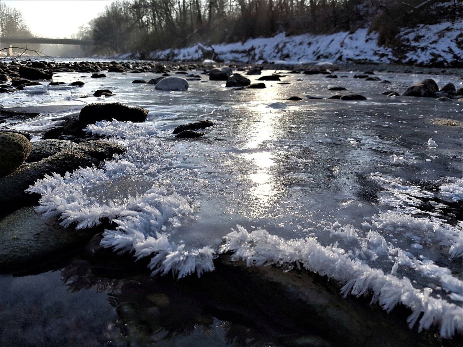 Trapped in ice