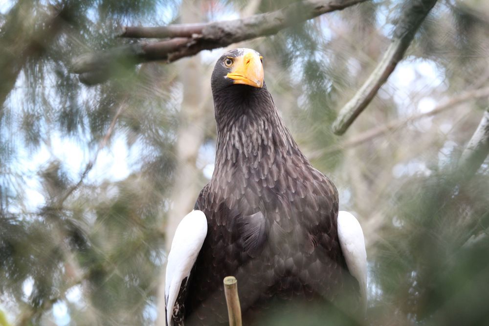 Photograph by Senthil Venugopalan