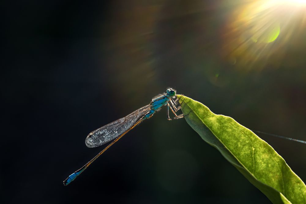 Фотография автора Dolli Pogrebnaya