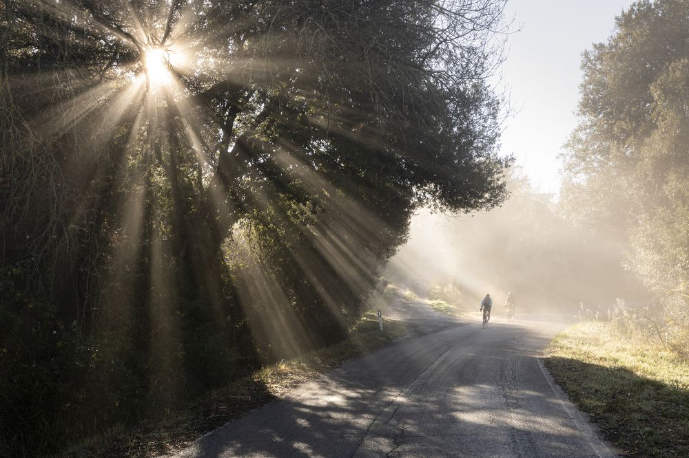 Photograph by andrea lorenzetti