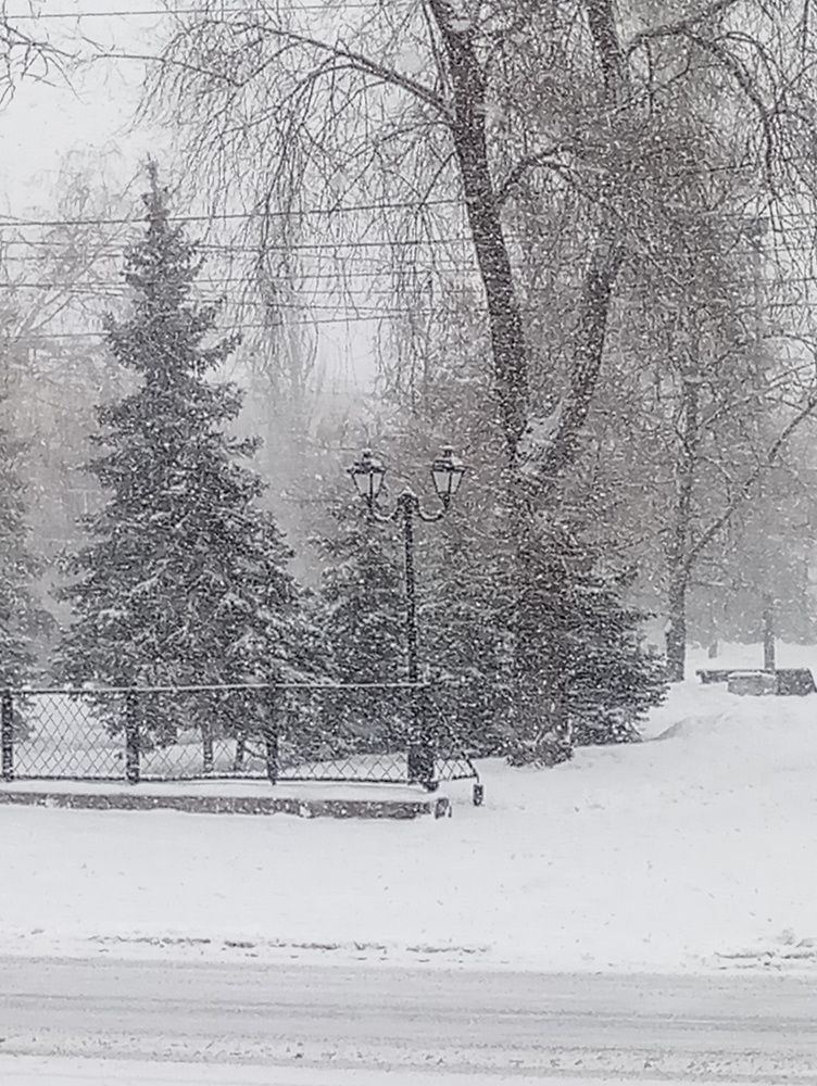 Photo #5872148