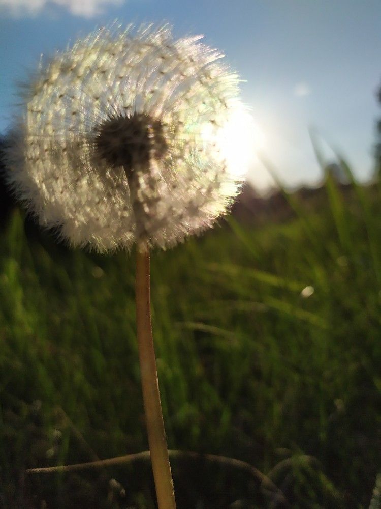 Photograph by Екатерина Мелехина