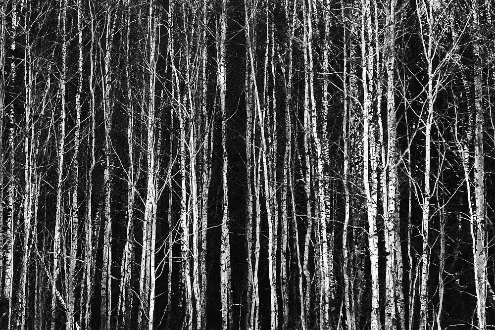 Photograph by Andrey Kondrov