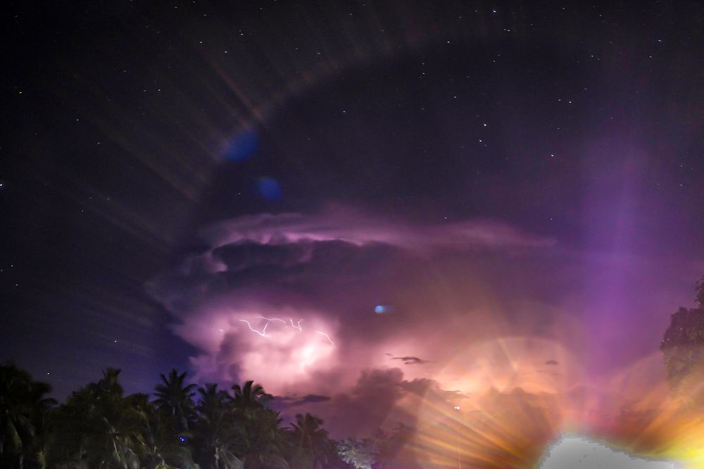 Photograph by Janelle Alegria