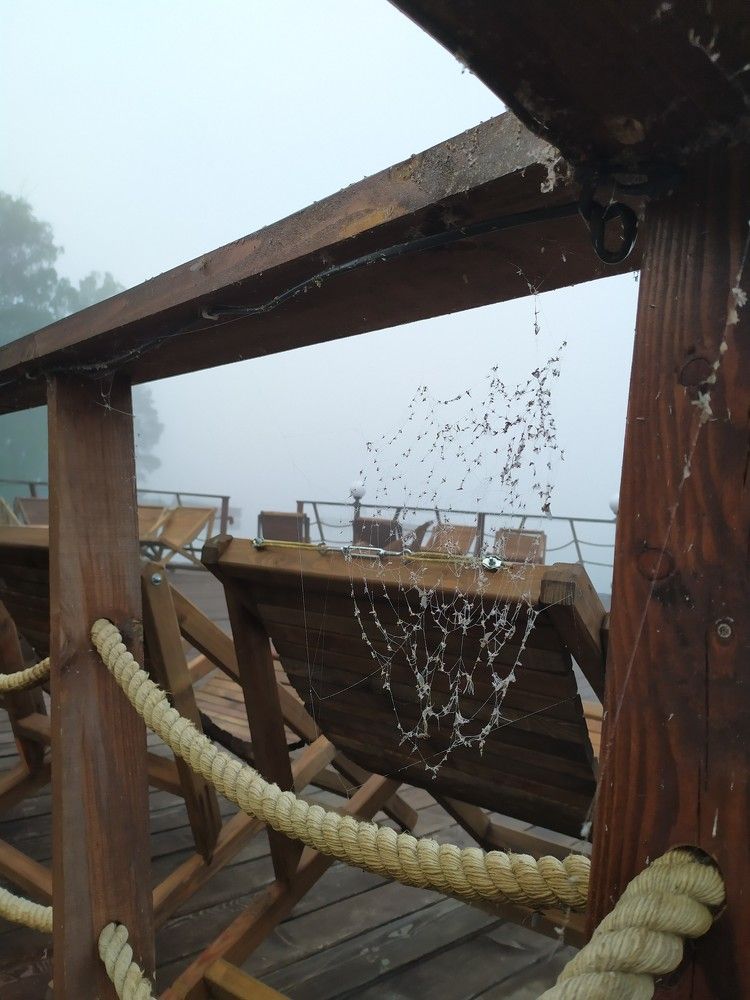 Photograph by Екатерина Мелехина