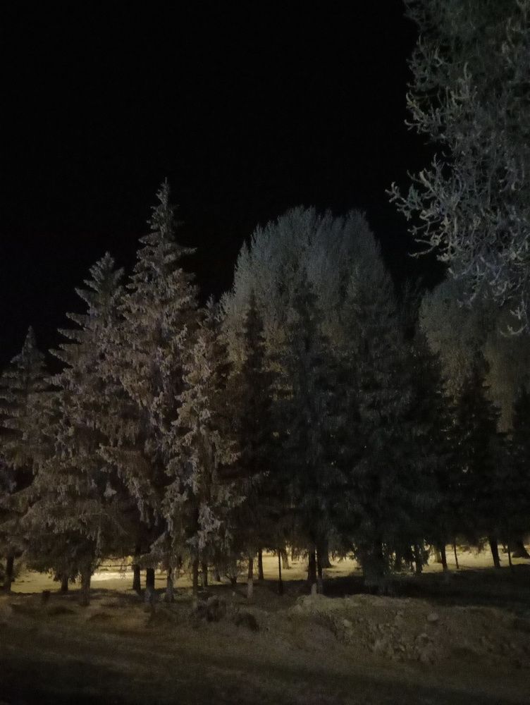 Photo #5872183