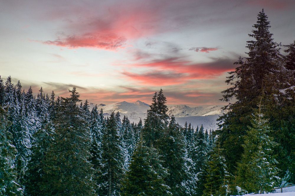 Photograph by Jeni Vladeva