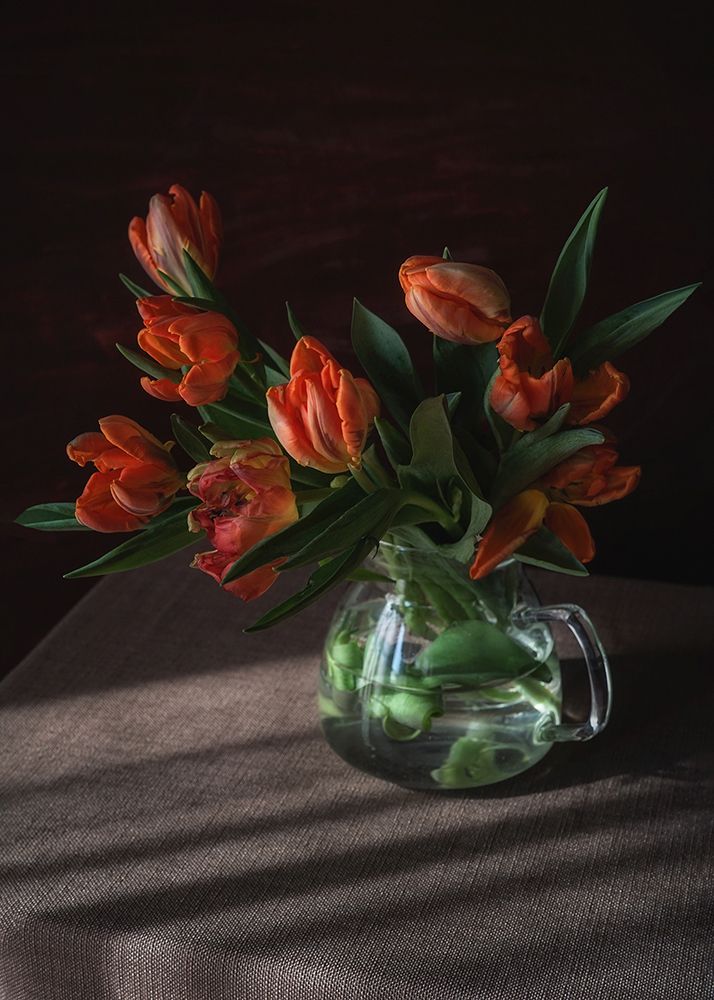 Photograph by Petya Radkova