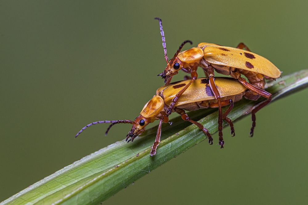 Photograph by Eduardo Di Fiore