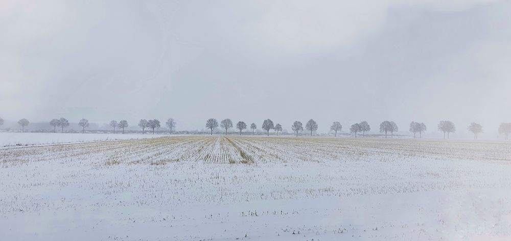 Snow Blanket