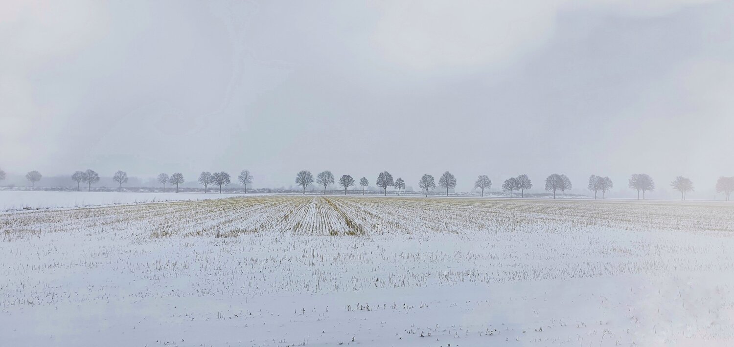 Snow Blanket